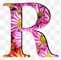 Flower Pattern Letters R - Letter R Design Png Emoji,Text Emojis Meanings