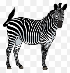 Png Zebra Transparent Png Clipart Free Download - Png Image Of Zebra Emoji,Zebra Emoji