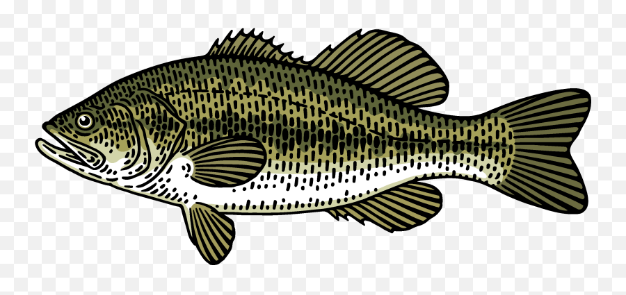 Png Black Bass Fishing Rod Transparent - Bass Emoji,Fishing Emojis