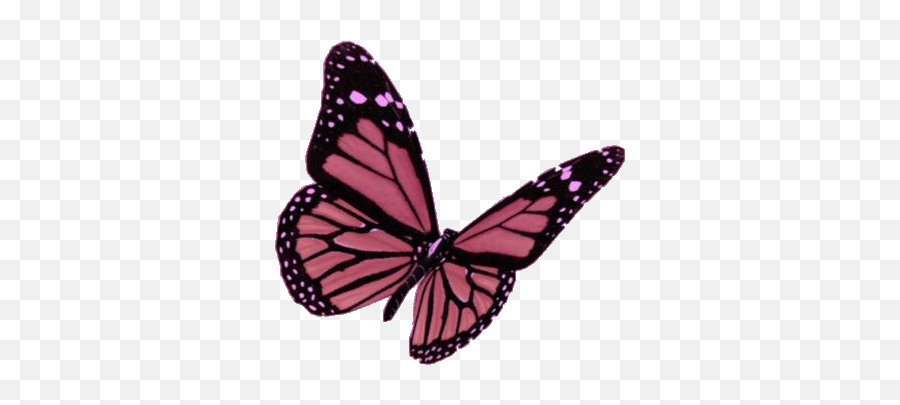 Popular And Trending Gote Stickers On Picsart - Pink Butterfly Wallpaper Aesthetic Emoji,Goteem Emoji