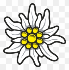 Edelweiss Png - Edelweiss Png Emoji,Double High Five Emoji