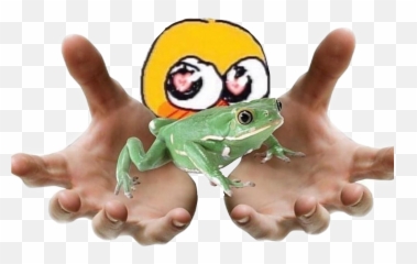 Free Transparent Frog Emoticon Images Page 10 Emojipng Com