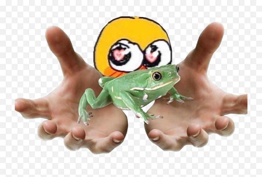 Cursedemoji Emoji Frog Phrog Freetoedit - Hand Reaching Out Png,Frog Emoji Png