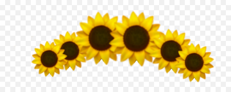 Crown Yellow Aesthetic Xd Idk Arianator - Sunflower Crown Png Emoji,Sunflower Emoji Transparent