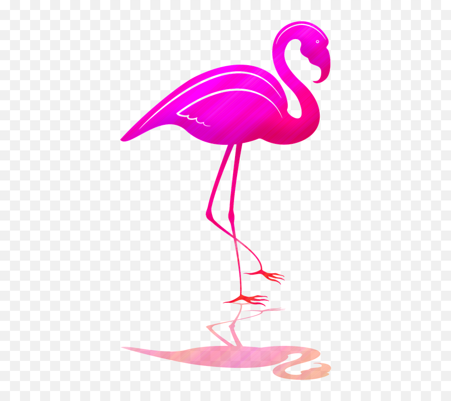 Flamingo With Shadow Pink - Greater Flamingo Emoji,Pink Flamingo Emoji