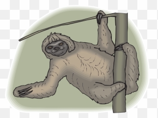 Sloth Face Tree Branch Leaning - Emoji