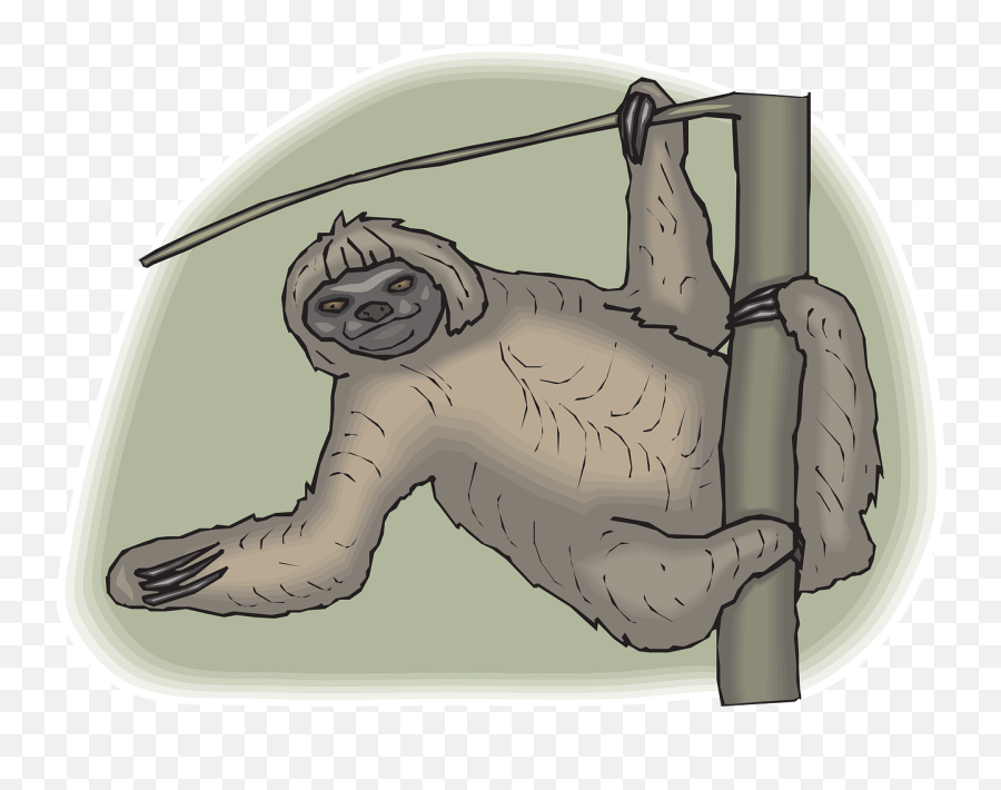Sloth Face Tree Branch Leaning - Sloth Emoji,Upside Down Happy Face Emoji