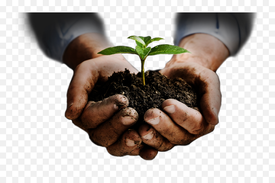 Soil In Hands Png - Tree Plant In Hand Emoji,What Do The Different Hand Emojis Mean