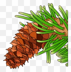 Pinecone Clipart Greens Pinecone Greens Transparent Free - Bristlecone Pine Emoji,Pinecone Emoji