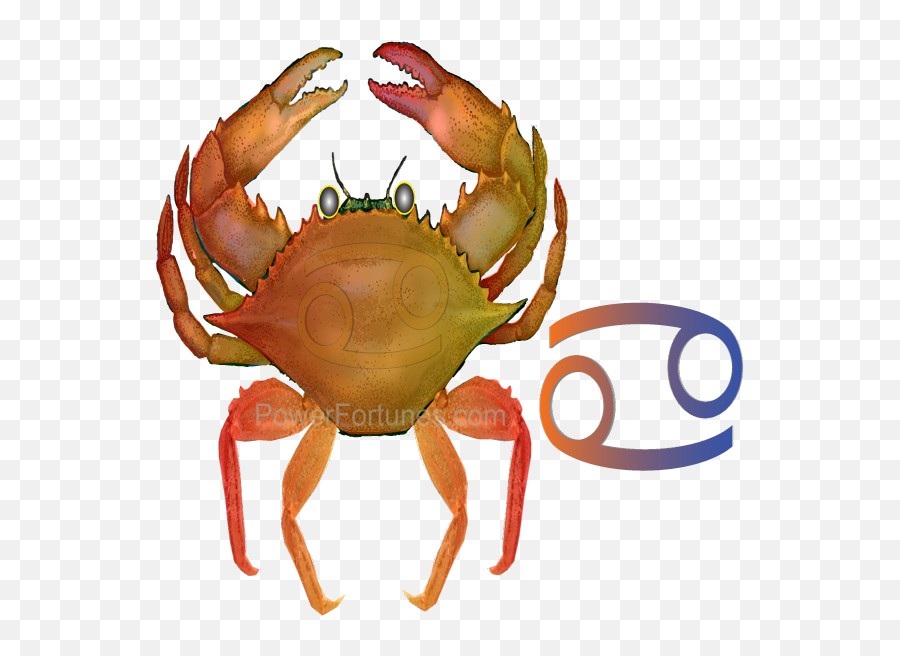 Tomorrowu0027s Horoscopes For Cancer Mon December 07th 2020 - Dungeness Crab Emoji,Cancer Sign Emoji