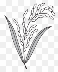 Dhaner Shish - Bangladesh Nationalist Party Logo Emoji,Emoji Translation