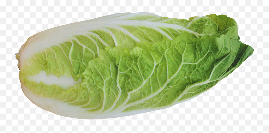 Bowl Salad Taco Tortilla - Chinese Cabbage Transparent Background Emoji,Lettuce Emoji
