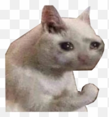 Png Sadcat - Cat Discord Emoji