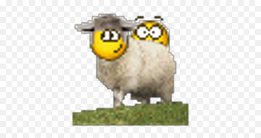 Jim Mallatar Mallatar Twitter - Sheep Emoji,Sheep Emoticon