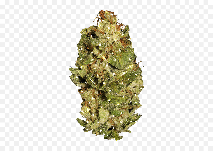 Top Pu Y Weed Stickers For Android Ios - Oregon Pine Emoji,Marijuana Emoji