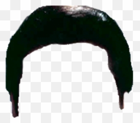 Elvis Wig Transparent Png Clipart - Elvis Presley Hair Png Emoji,Elvis Emoticon