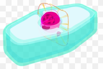 Telophase - Circle Emoji,Water Gun Emoji Transparent