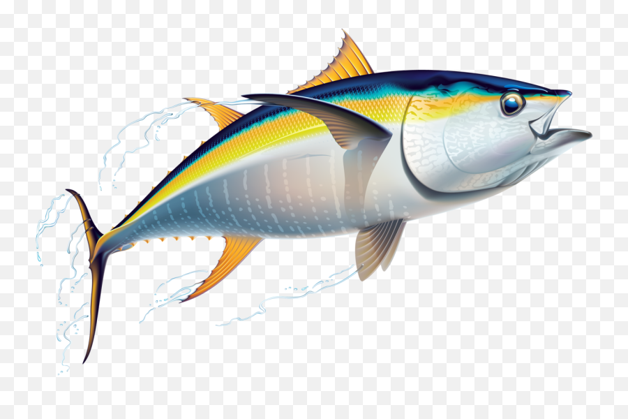 Tuna Fish Png Files Clipart - Tuna Clipart Emoji,Tuna Emoji