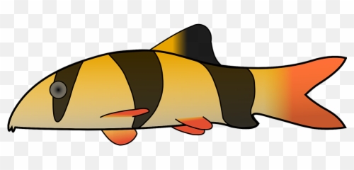 Free Clown Fish Fish Images - Clown Loach Clipart Emoji,Fish Emoji