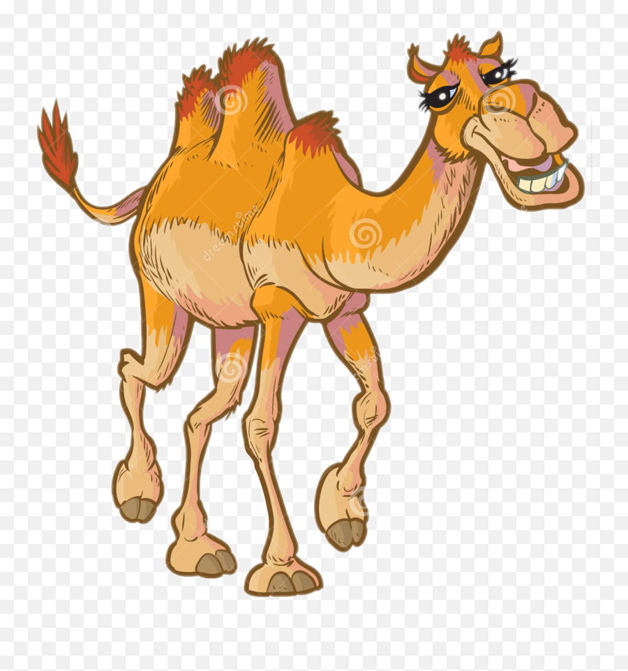 Animals Camel Hump Humpday Sticker - Cartoon Camel Face Emoji,Humping Emoji