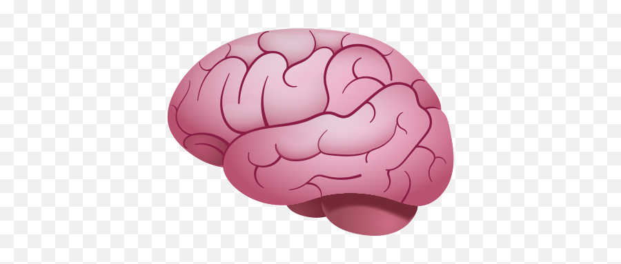 Brain Emoji Transparent - Brain,Brain Emoji Png