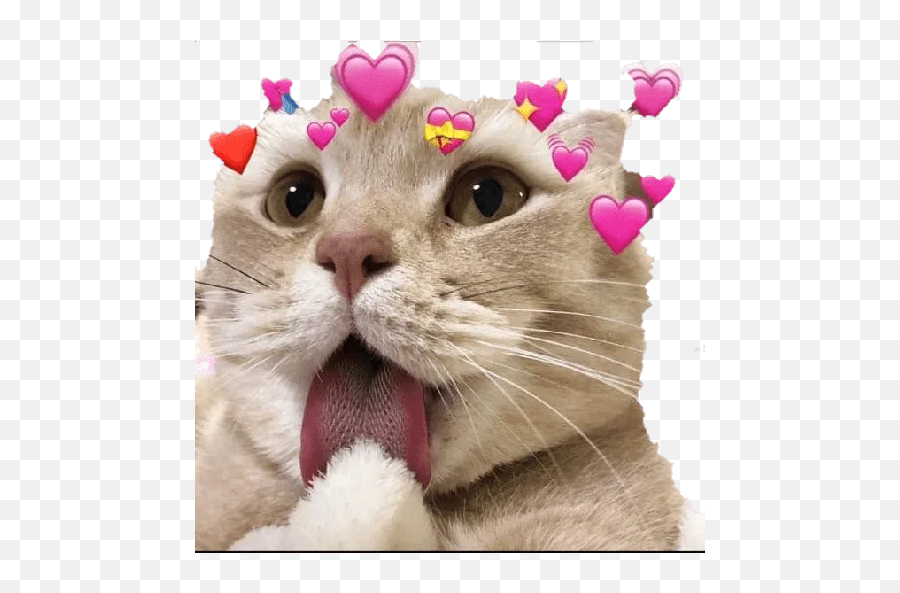 Geiten - Lovely Emoji,Cat Heart Emoji Meme