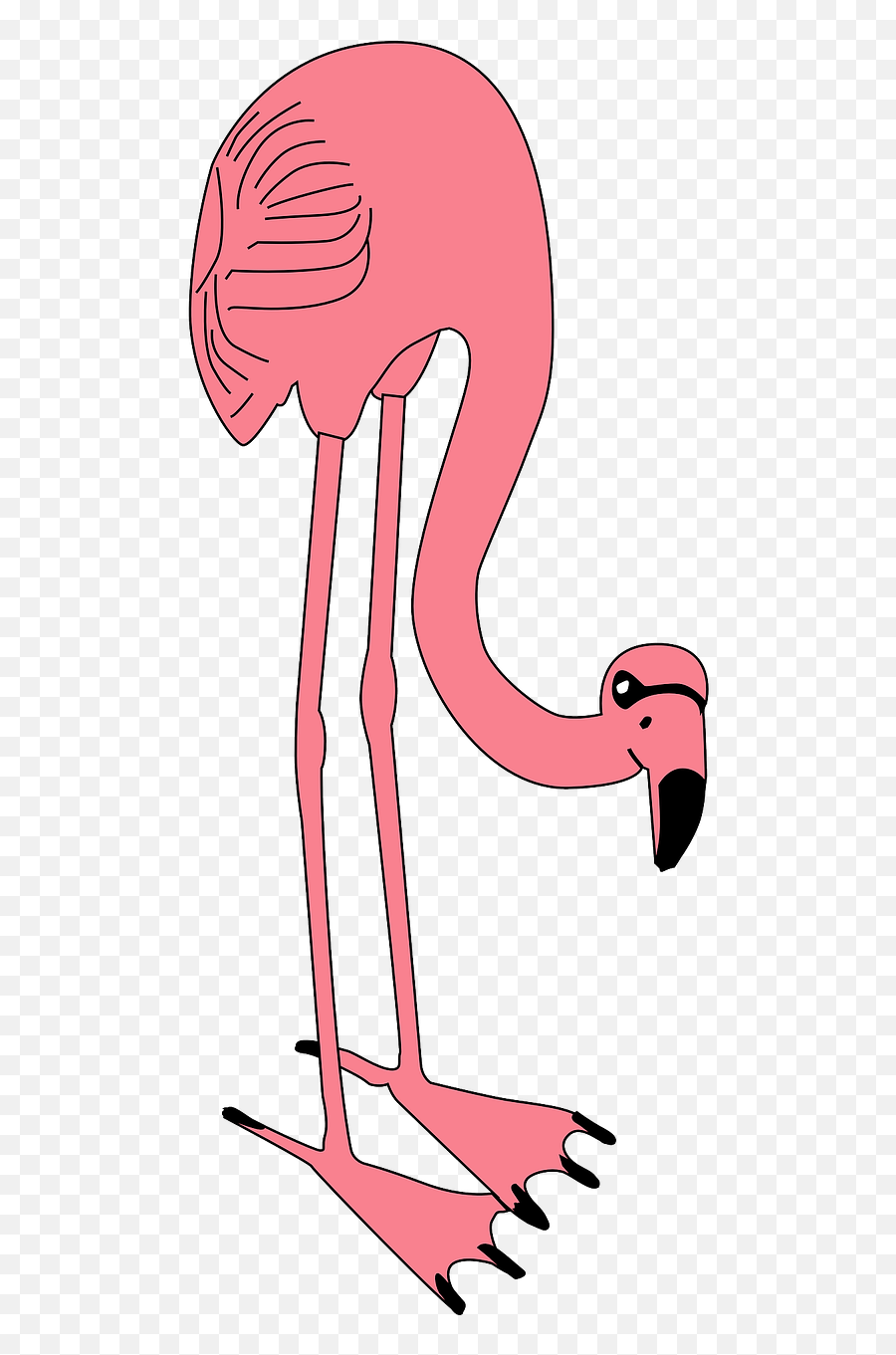 Flamingo Pink Animal Zoo Wild - Flamingo Emoji,Pink Flamingo Emoji