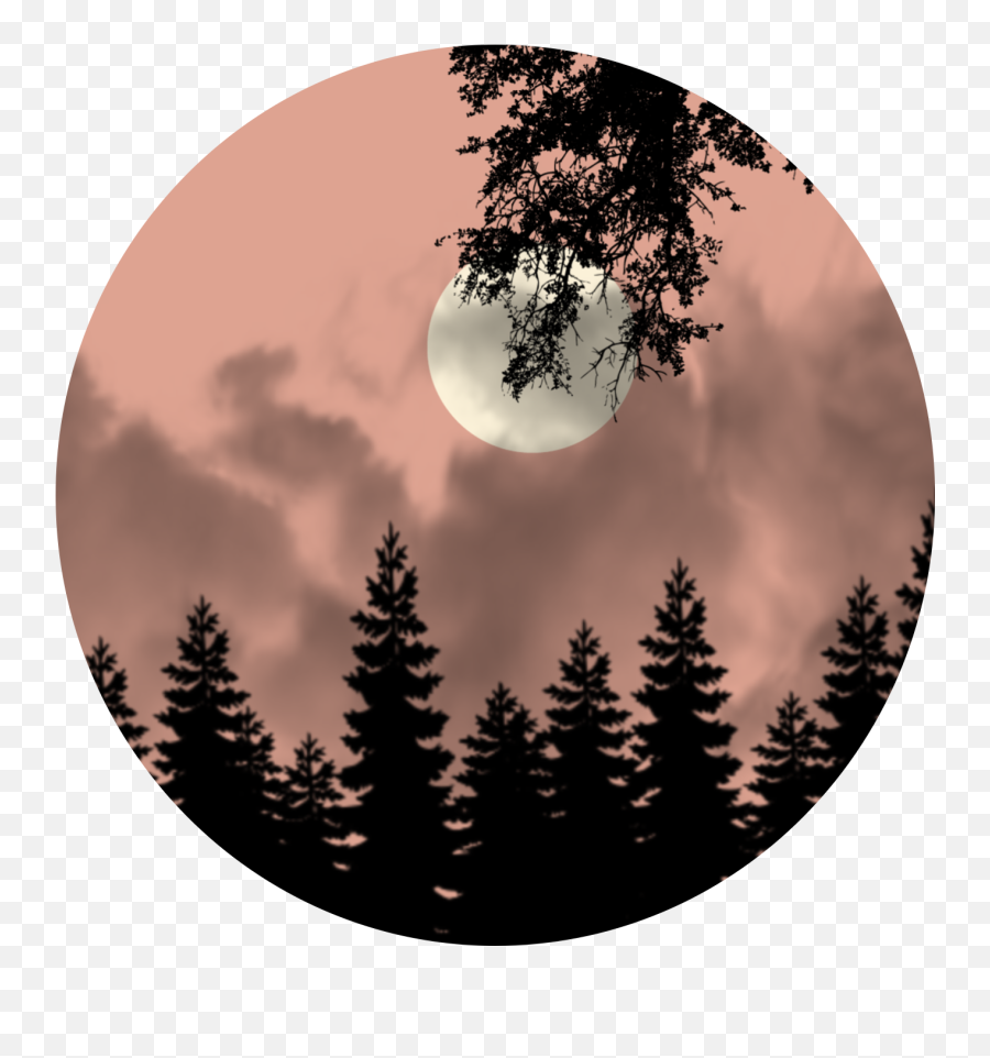 Sircle Trees Leaf Leaves Moon Dust - Silhouette Pine Trees Png Emoji,Trees Emoji