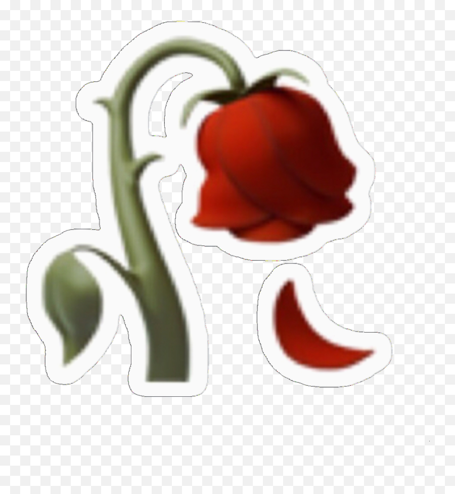 Emoji Emojis Sticker Stickers Rose Red - Emoji Iphone Rose Png,Red Pepper Emoji