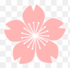 Good Cherry Blossom Drawing Flower Cc0 - Clipart Emoji