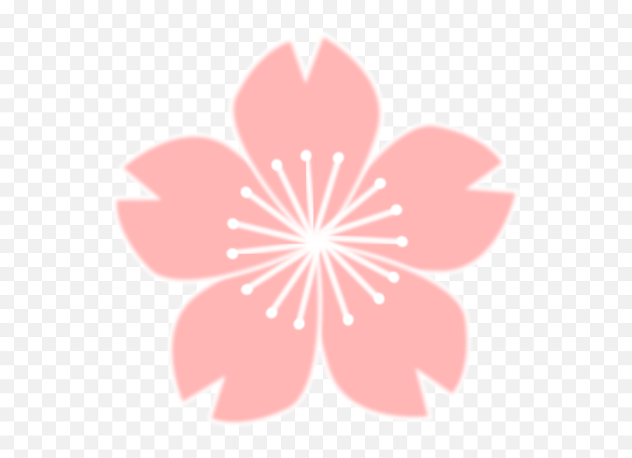 Good Cherry Blossom Drawing Flower Cc0 - Flower Cherry Blossom Clipart Emoji,Cherry Blossom Emoji Png