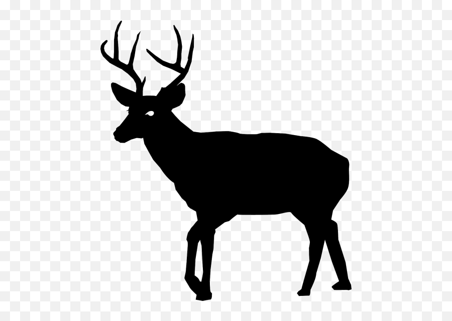 Buck Bucks Cash Change Coin - Deer Silhouette Emoji,Buck Deer Emoji