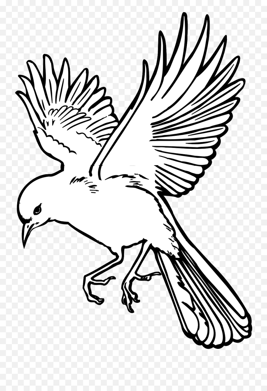 Bird Wings Landing Feathers Free Vector - Outline Flying Bird Drawing Emoji,Drake Owl Emoji