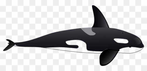 Dolphin Orca Whale Sea - Orcas Clip Art Emoji