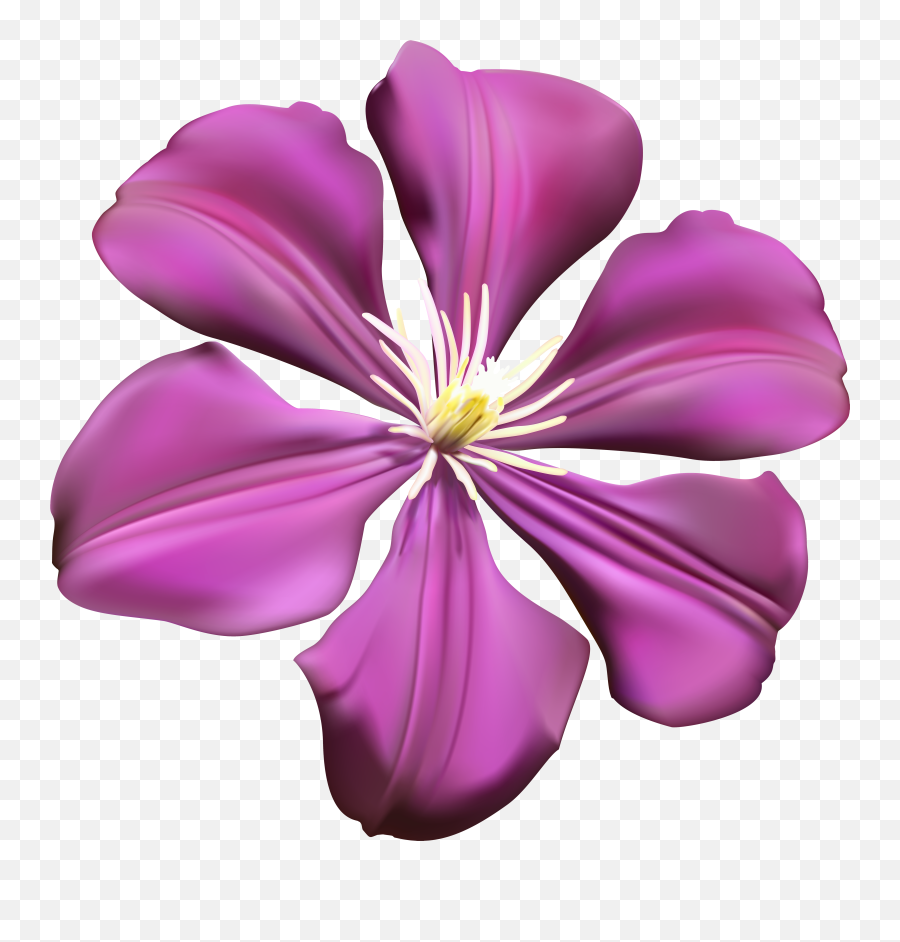Purple Flower - Flower Transparent Background Clipart Emoji,Purple Flower Emoji