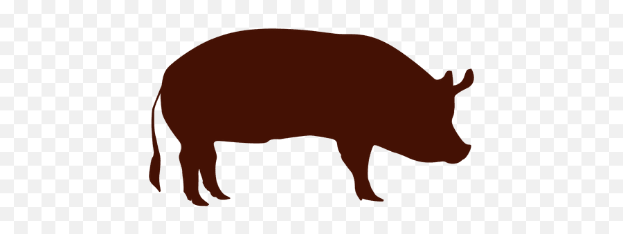 Download Pig Png Transparent Images 32 Images - Free Pig Silhouette Transparent Background Emoji,Pig Emoji Png