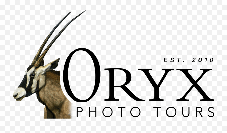 Oryx Photo Tours - Oryx Emoji,Goat Emoji Png