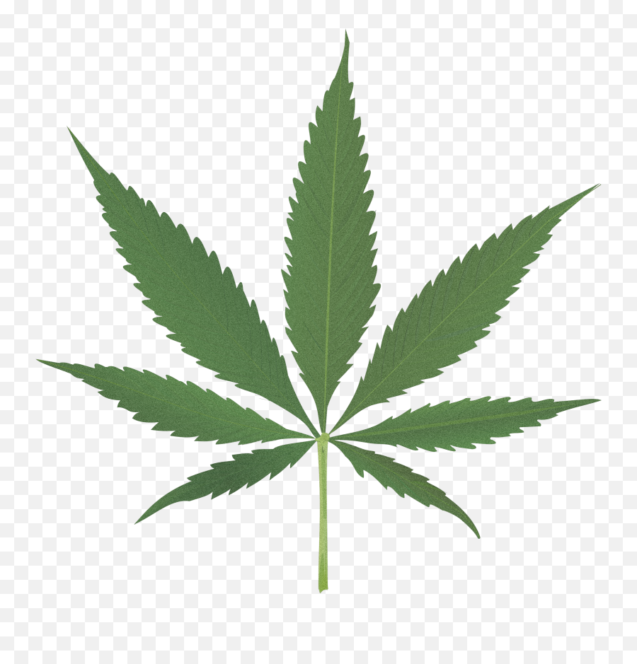 Largest Collection Of Free - Toedit Pothead Stickers Cannabis Leaf Emoji,Pothead Emoji
