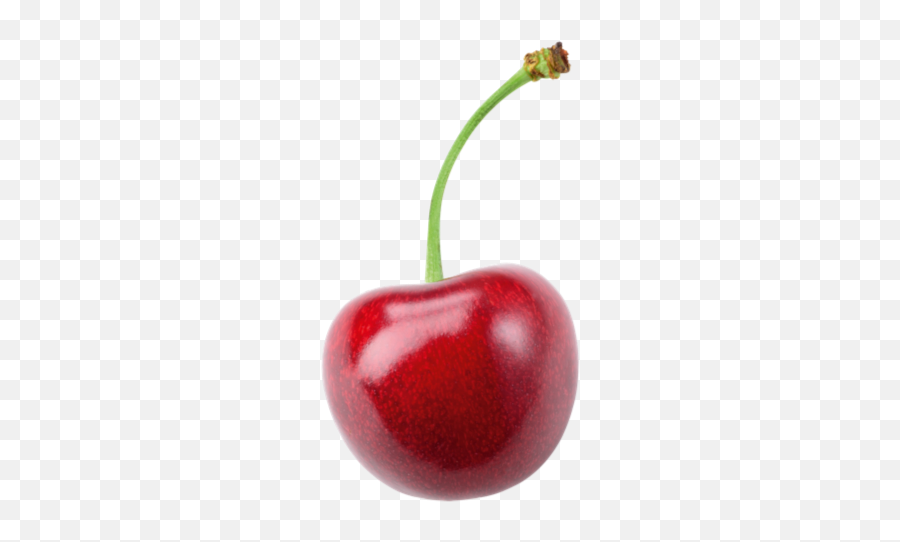 Cherry Png Images Cherry Blossom - Cherry Png Emoji,Cherries Emoji