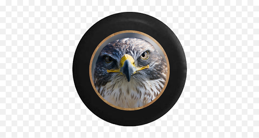 Spare Tire Cover Falcon Staring Back - Fly Falcon Emoji,Bald Eagle Emoji