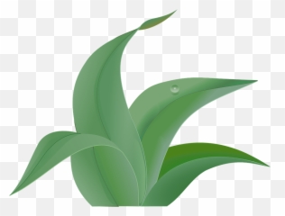 Free Greenery Leaves Vectors - Jungle Plant Clipart Emoji,Turtle Emoji