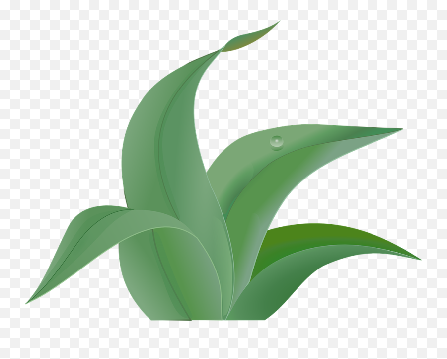 Free Greenery Leaves Vectors - Jungle Plant Clipart Emoji,Turtle Emoji