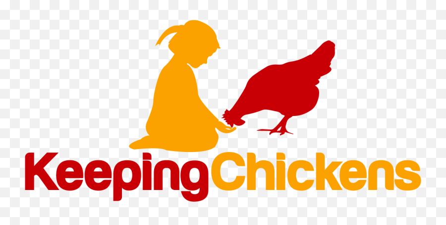 Raising And Keeping Chickens - Illustration Clipart Full Chicken Emoji,Chicken Wing Emoji