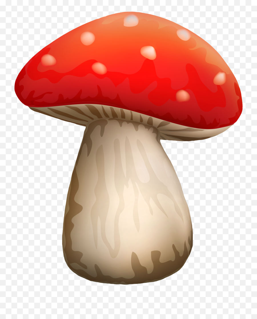 Circle Mushroom Transparent Background - Mushroom Clipart Png Emoji,Mushroom Cloud Emoji