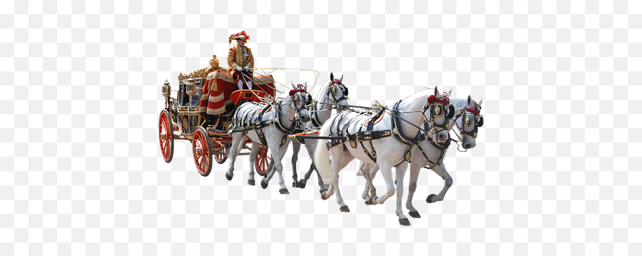 900 Free Coach U0026 Coaching Photos - Pixabay Transparent Horse Carriage Png Emoji,Horse And Muscle Emoji