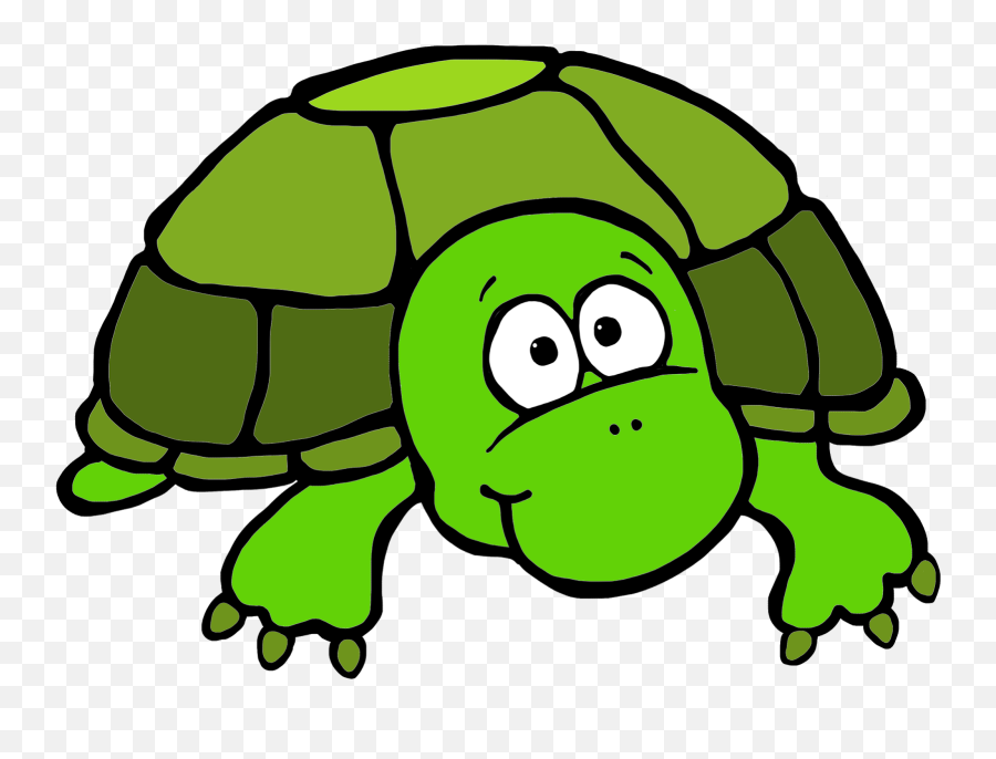 Download - Turtle Clipart Png Transparent Cartoon Jingfm Turtle Head Clip Art Emoji,Turtle Emoji