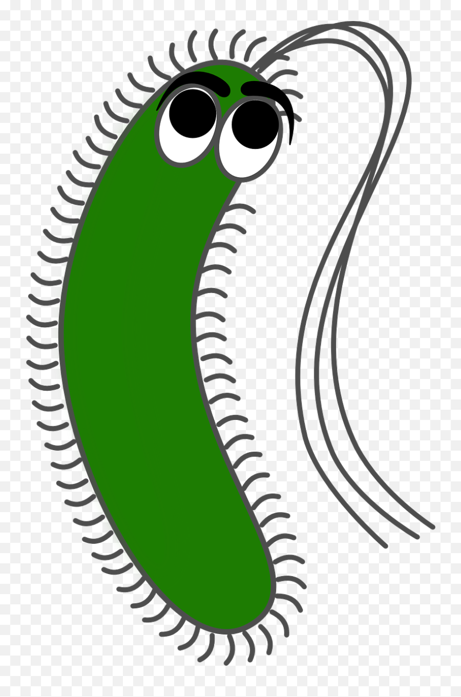 Germ Virus Bacteria Infection Organism - Gram Negative Bacteria Cartoon Emoji,Bean Sprout Emoji