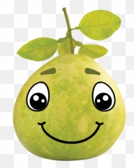 Experience Delicious Llc - Pomelo Emoji,Delicious Emoticon
