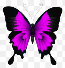 Butterfly Name Tag Clipart - Blue Swallowtail Butterfly Emoji,Butterfly Emoticon