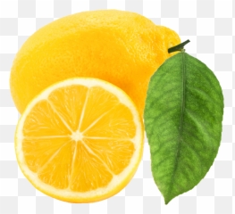 Lemon Clip Art Free Free Clipart Images 2 Clipartbold - Lemon Clipart Png Emoji,Lemon Emoji